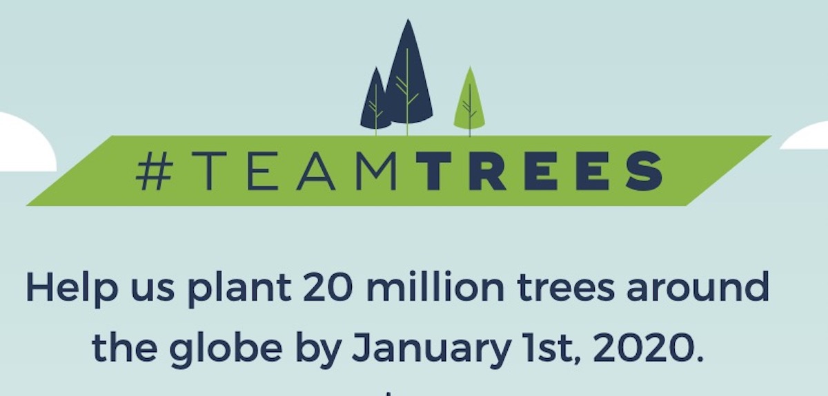 Tesla, Twitter, And Shopify CEOs Join Tree Donation Campaign