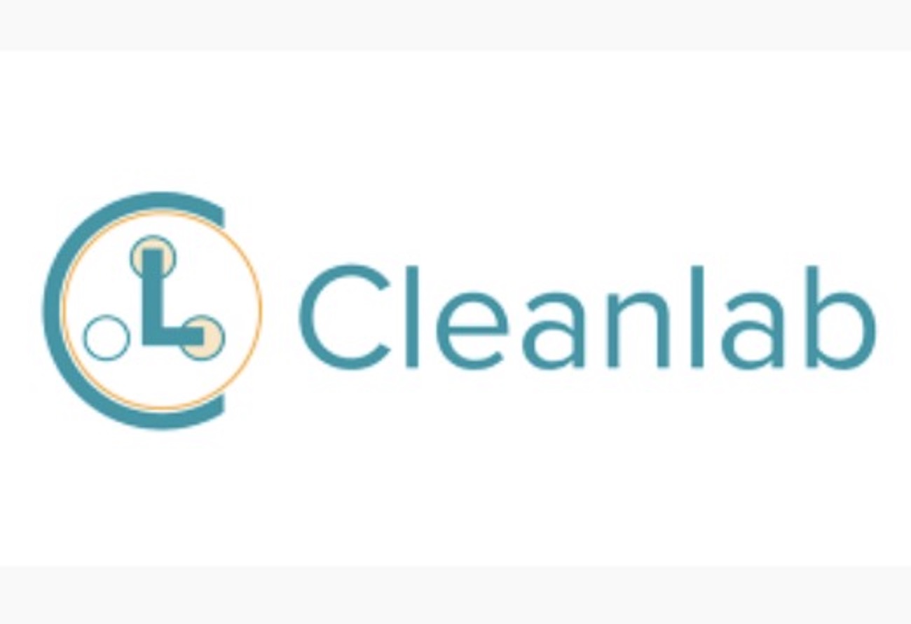 Cleanlab 5 Million Received To Automate Data Curation For LLMs