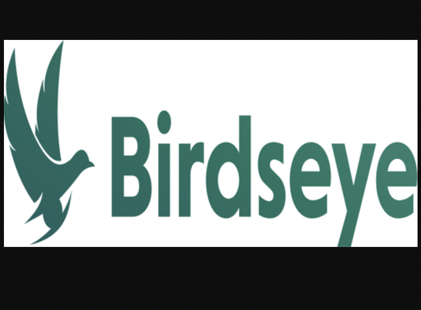 who is clarence birdseye