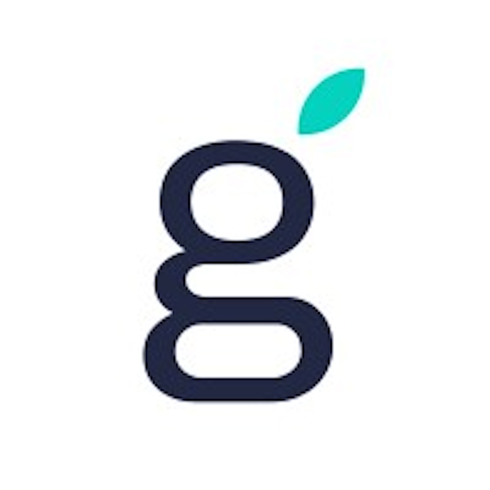 Giginger Gynger: Corporate Technology Purchasing Platform Company Raises $20 ...