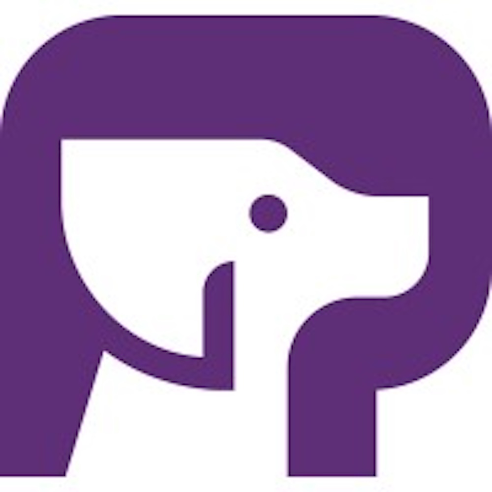 PuppyGraph: Query Engine Company Raises $5 Million (Seed)