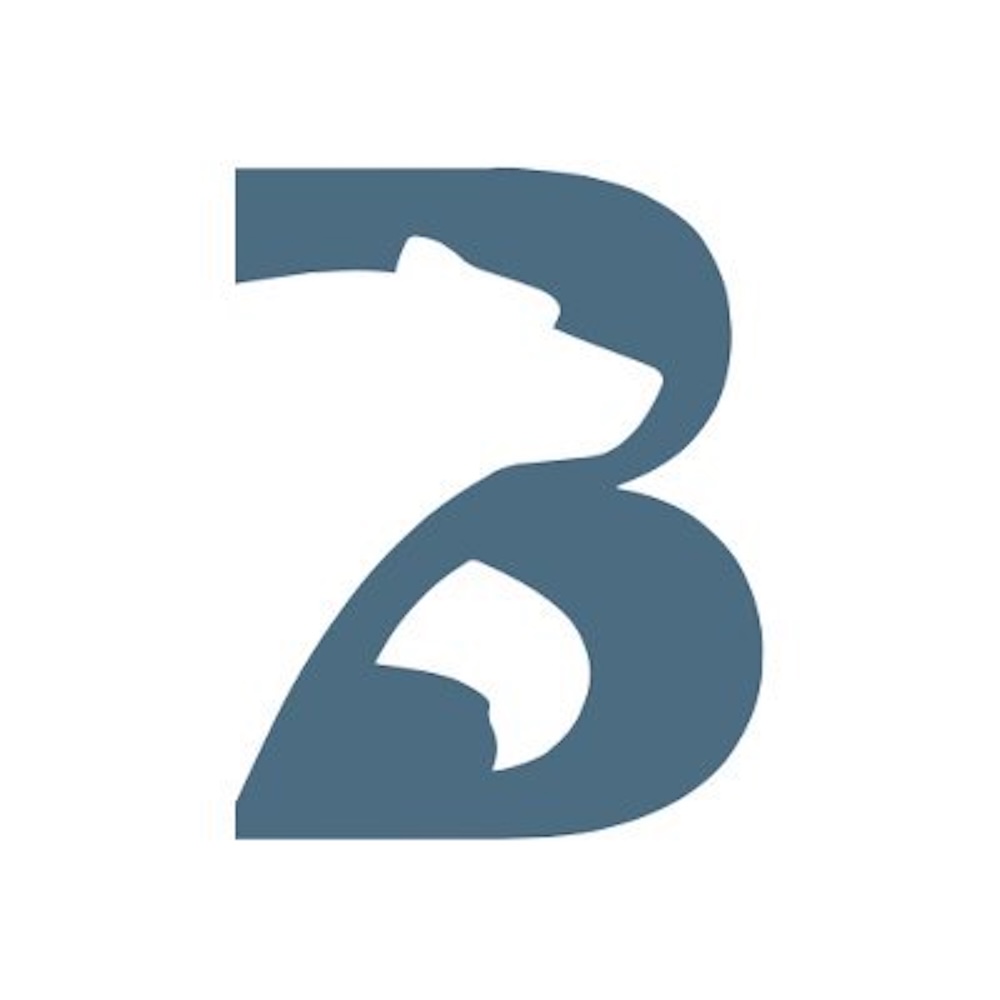 Blue Bear Capital: $160 Million Fund III Closed