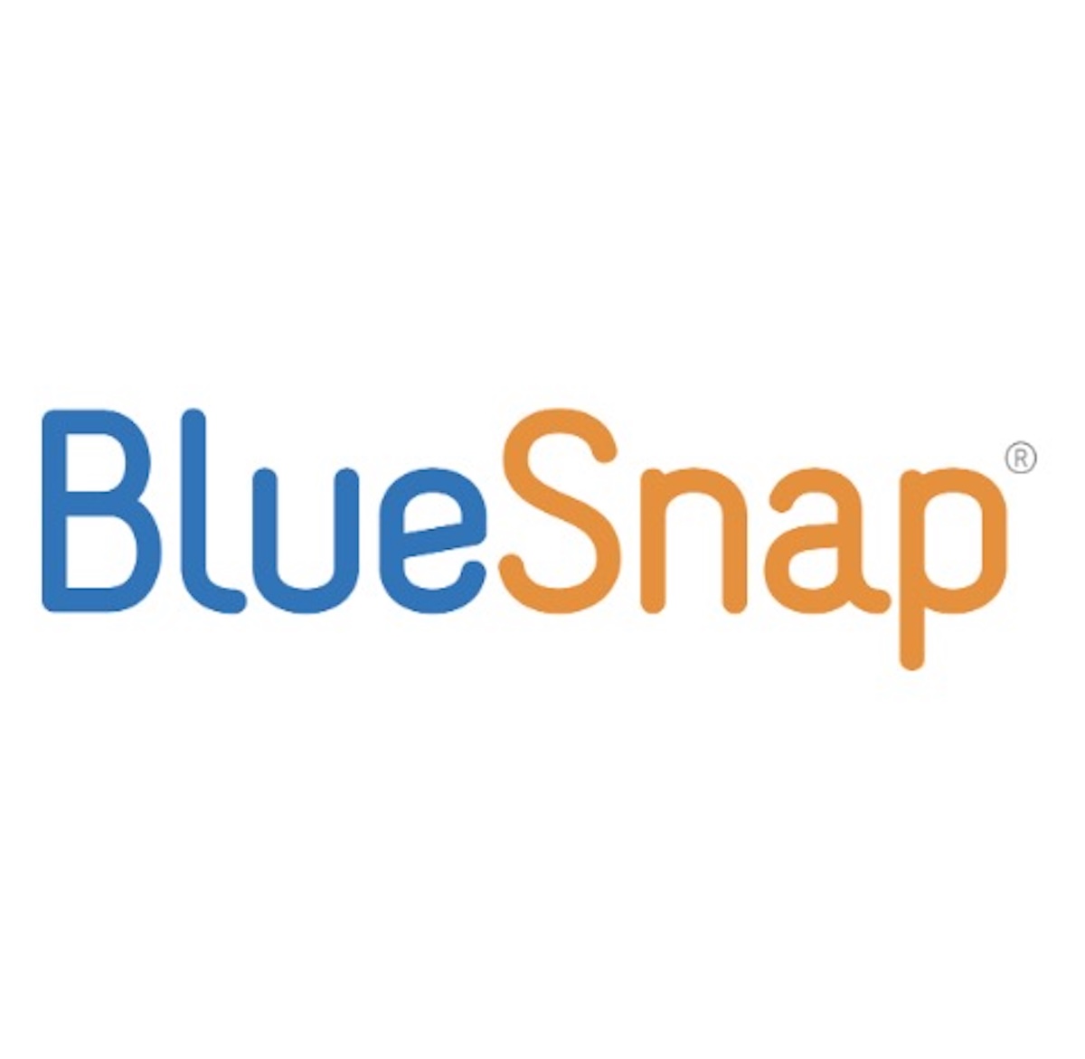 BlueSnap: Interview With CEO Henry Helgeson About The Payments Back-End  Solution Company
