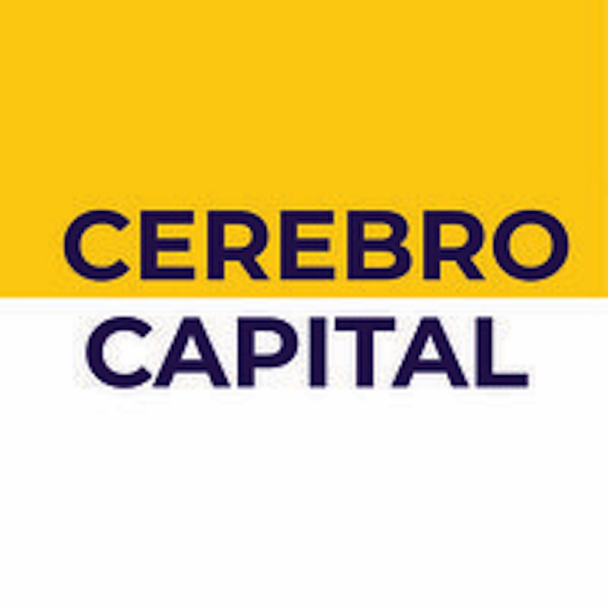 Cerebro Capital: Series A Raised And $1 Billion In Loan Closings Completed