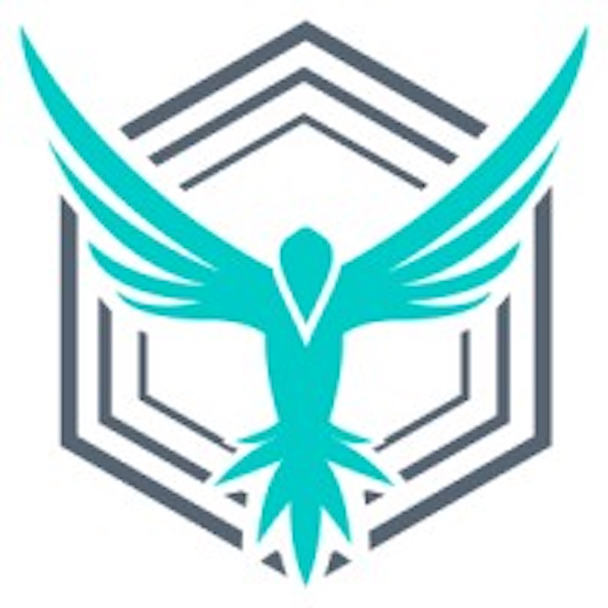 Hawkstack Logo StackHawk: $12 Million Secured For API Security Platform