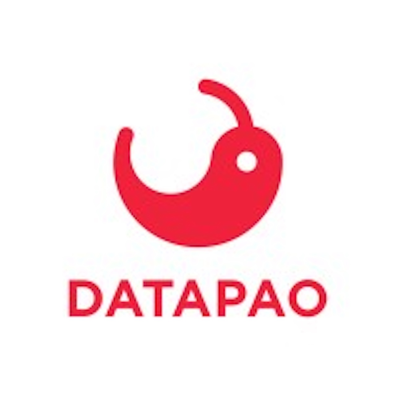 Datapao: Investment Raised From Databricks And Euroventures