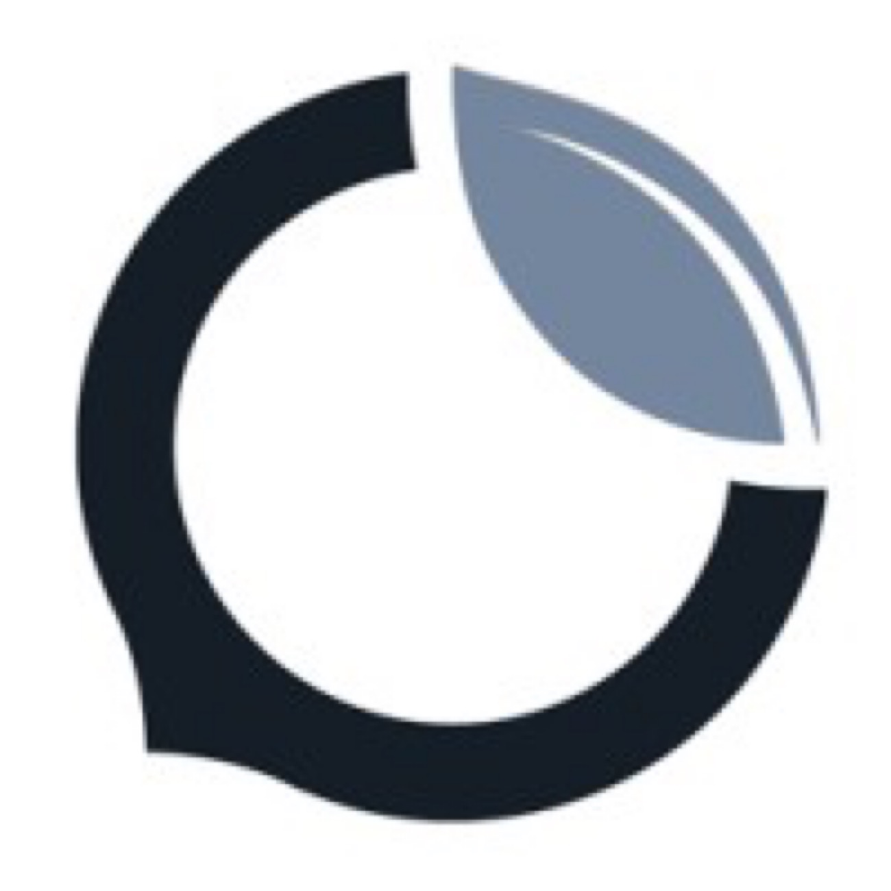 Chestnut Carbon: Series B Now At $250 Million Following New Raise