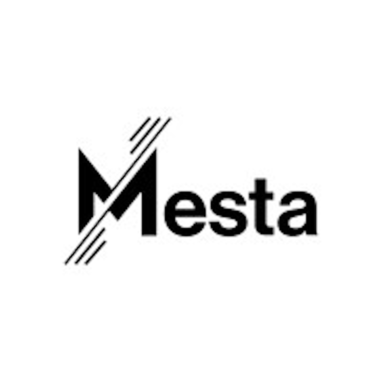 Meesta Mesta: $5.5 Million Seed Funding Closed To Improve Cross-Border ...