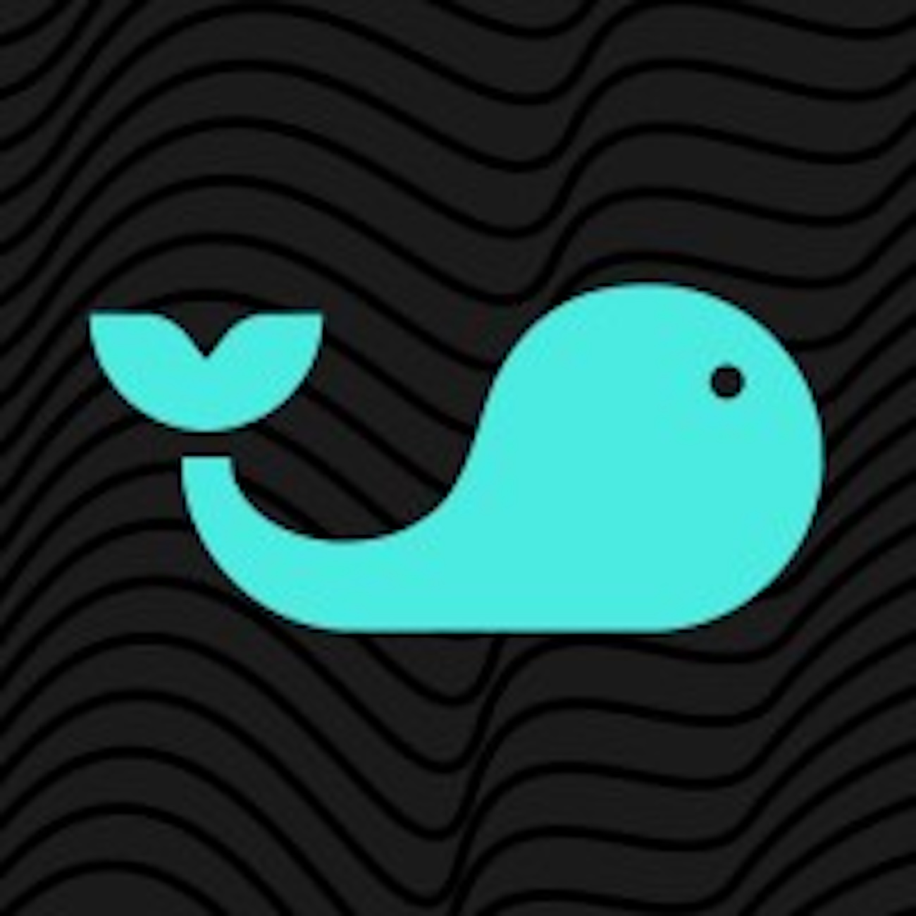 Splash: .5 Million Series B Closed For Improving Social Sports Gaming Platform