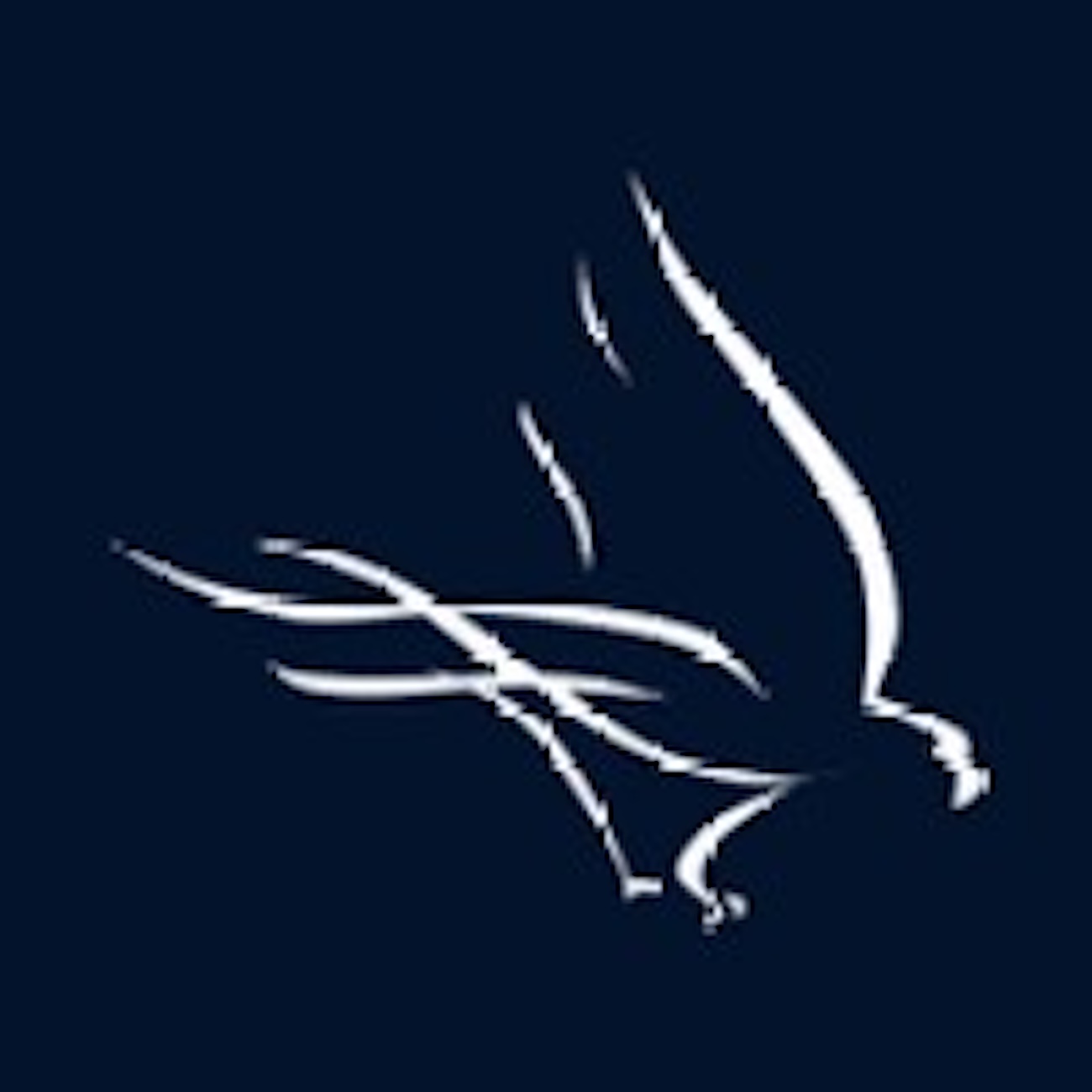 Image showcasing Disability Housing Grants For Veterans | Veterans Affairs