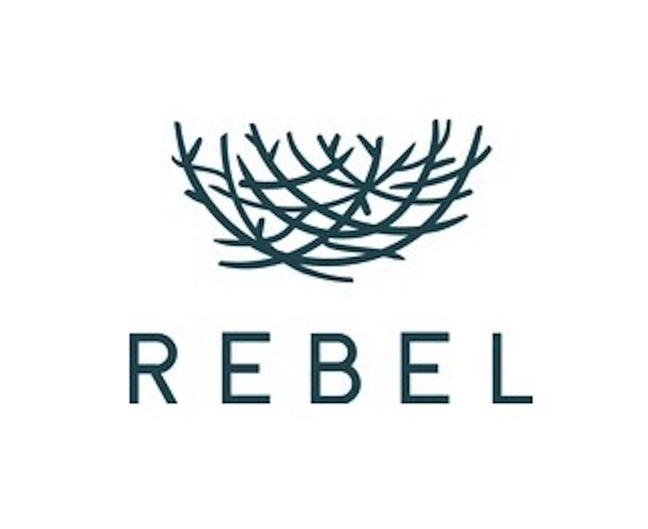 Rebeol REBEL: $25 Million Series B Raised To Accelerate Retail Returns ...