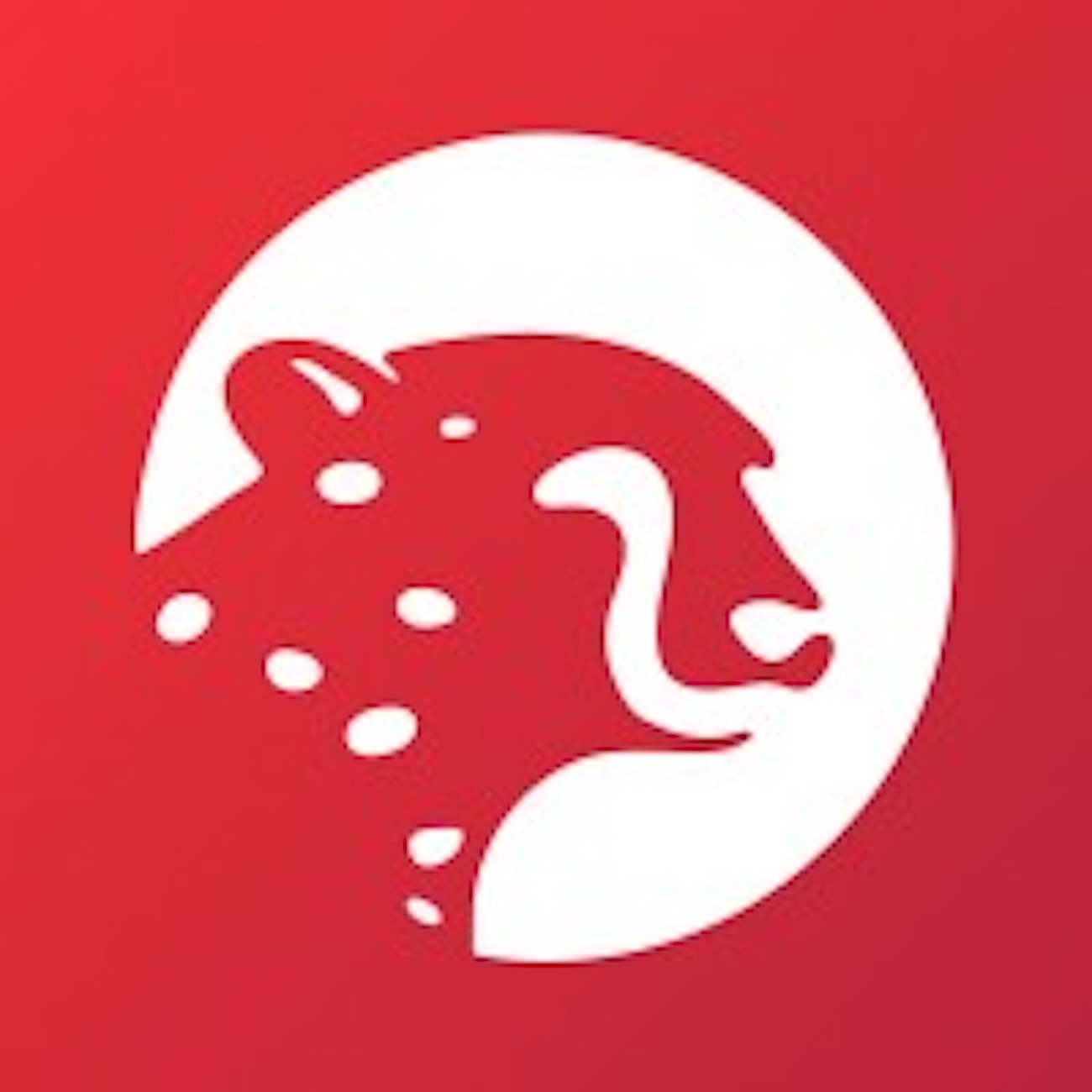 Sokin: $50 Million Series B Raised To Accelerate Global Payments Expansion