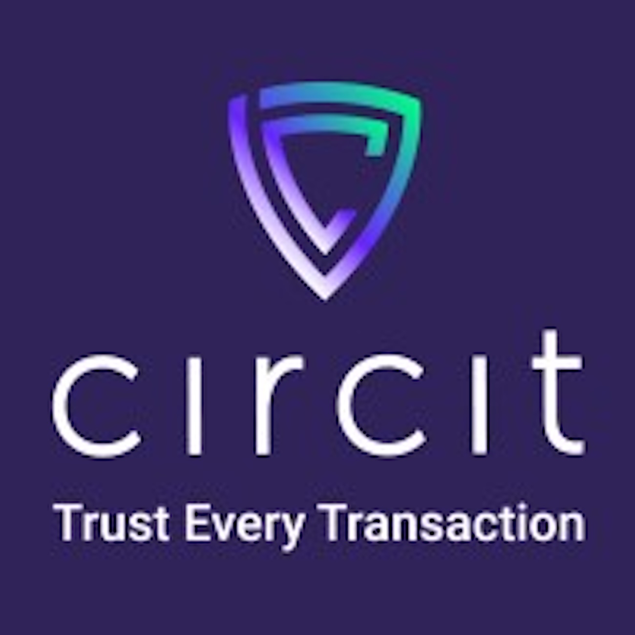 Circit: $22 Million Raised For Audit Verification Platform