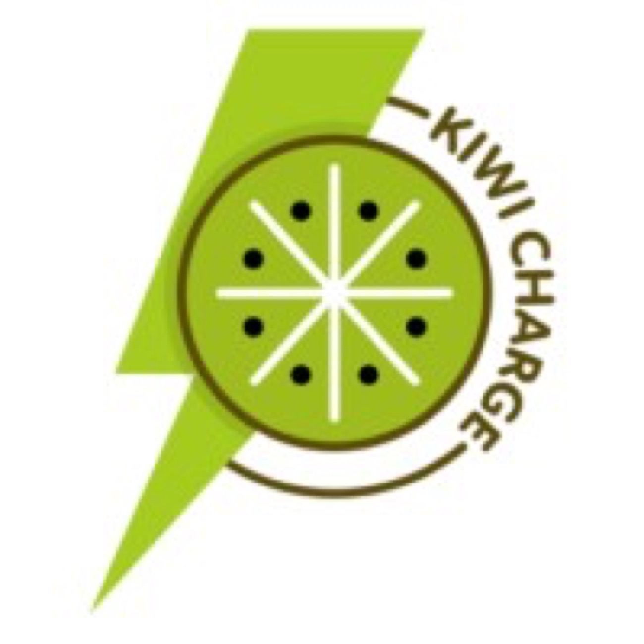 Kiwi Charge Launches Autonomous EV Charging Project With $1.7 Million In Funding