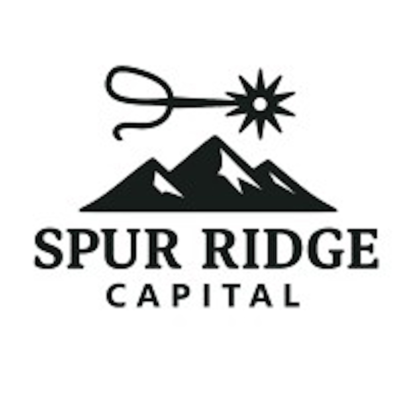 Spur Ridge Capital Invests In Spinal Implant Distributor Axis Medical