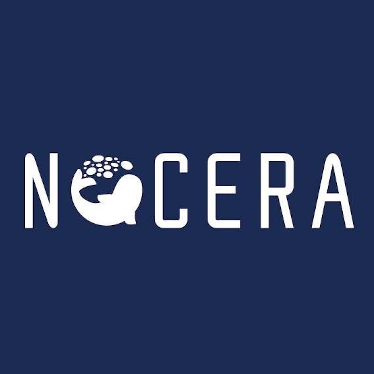 Nocera's $300 Million Expansion Targets AI and Robotics