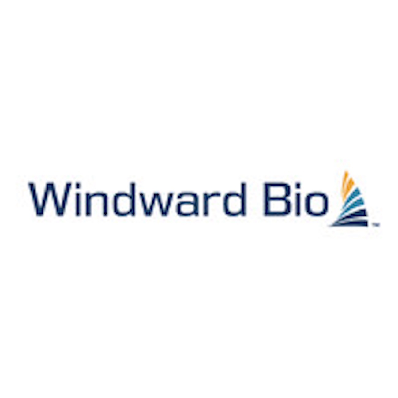 Windward Bio Secures $165 Million to Propel Immunology Pipeline