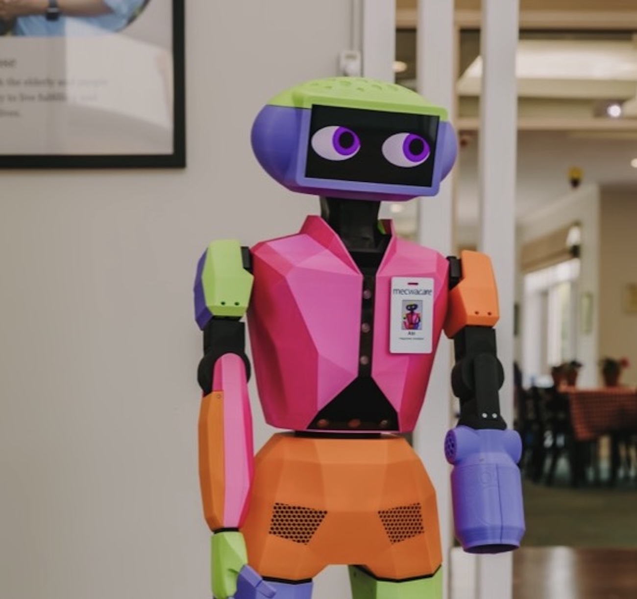 Andromeda Robotics: Transforming Elder Care with Humanoid Companions