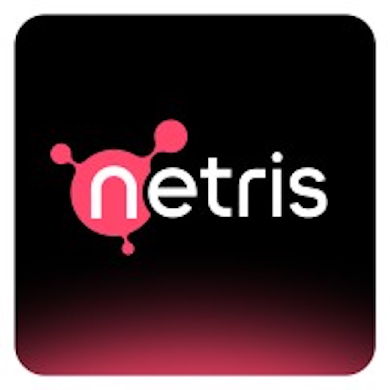 Netris Secures $15 Million to Boost AI Network Automation