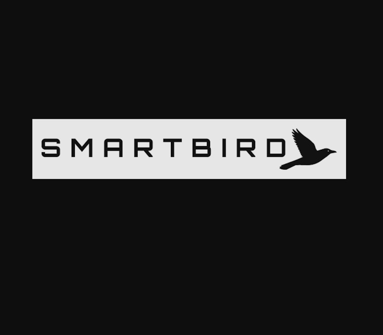 Smartbird Appoints Nadia Carlsten As President & CEO To Advance AI ...