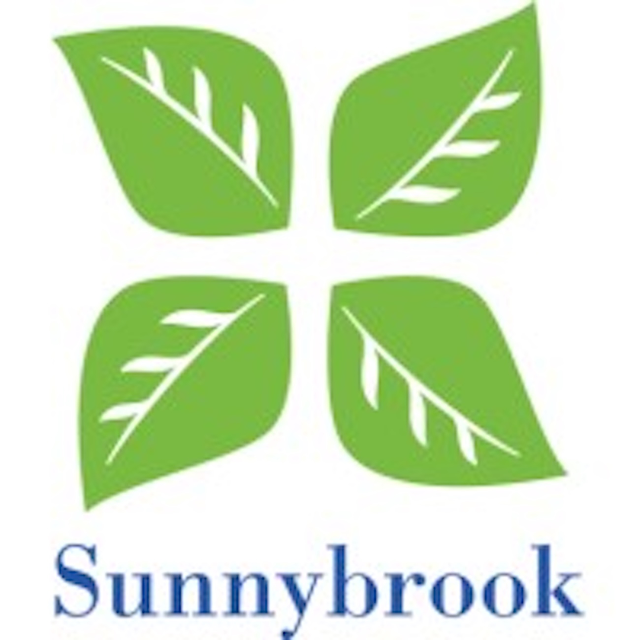 Sunnybrook Health Sciences Centre: $1 Billion Campaign To Advance The ...