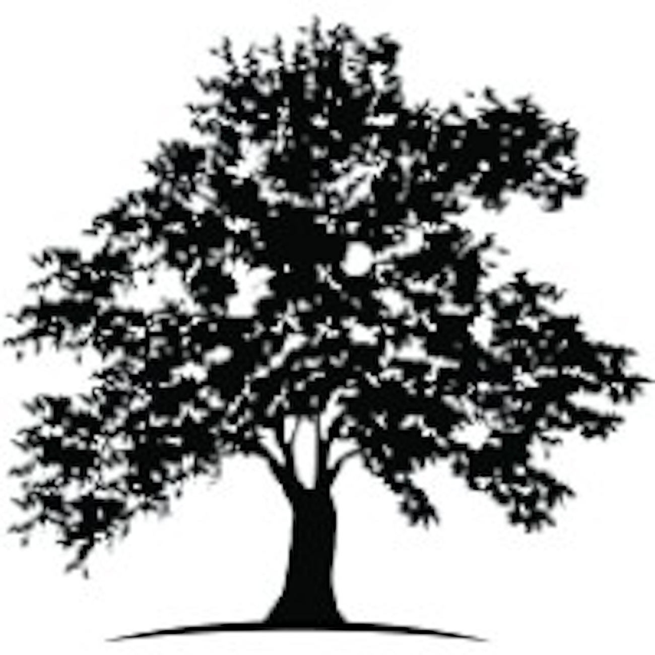 White Oak UK Boosts SME Financing for Industrial Growth