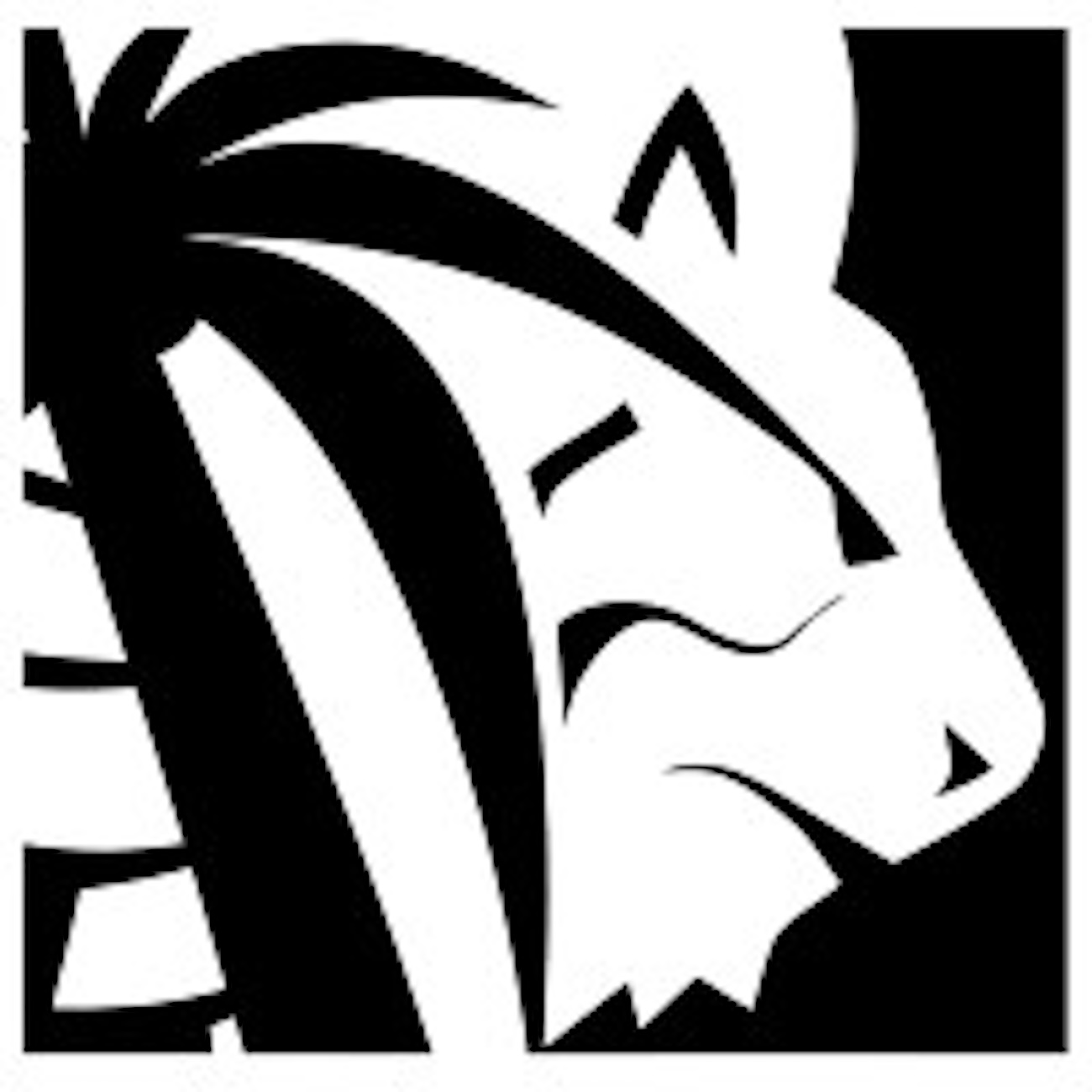 Lion One Metals Appoints Ronan Geoghegan As VP Of Corporate Development And Investor Relations