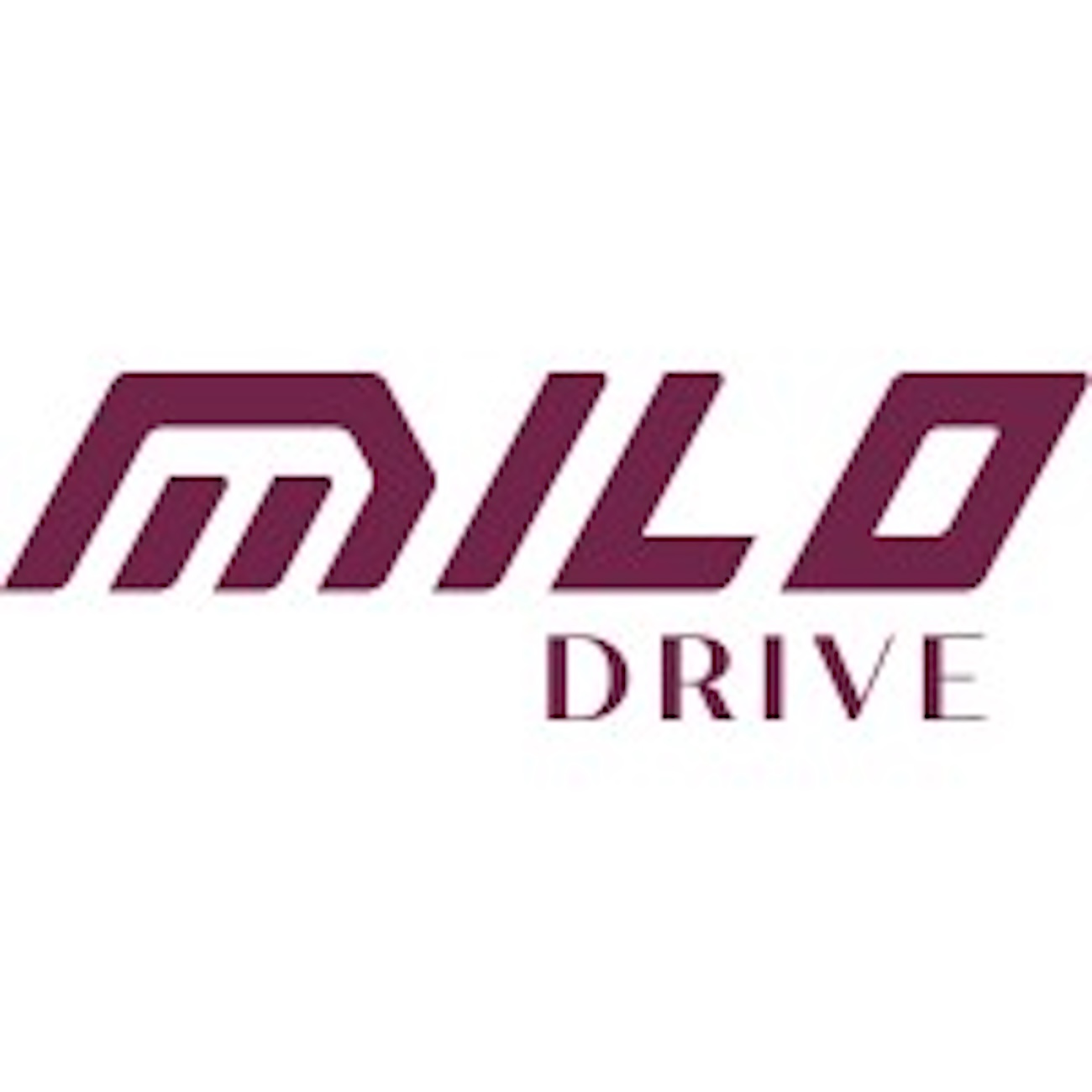 Milo Drive Raises $2.4 Million To Build EV Fleet Infrastructure In India