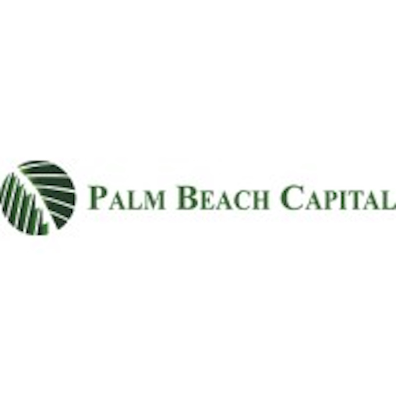 Palm Beach Capital Boosts NELSON Worldwide for National Expansion