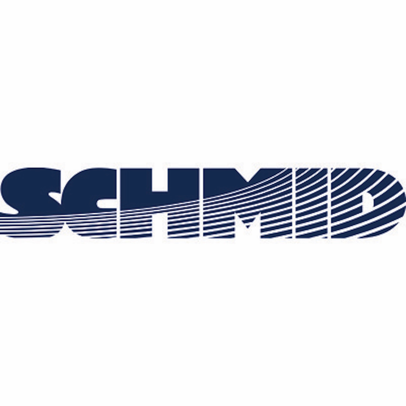 SCHMID Group's Revenue Soars Amid Margin Challenges