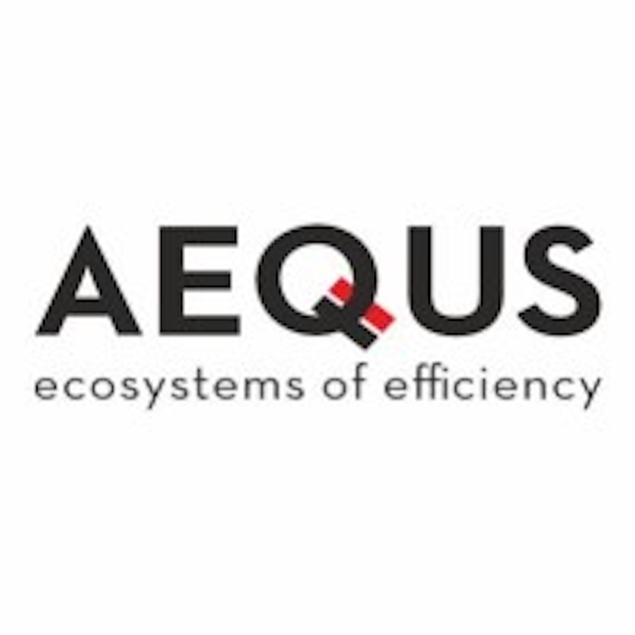 Aequs Secures $67.8 Million Equity Infusion for Expansion