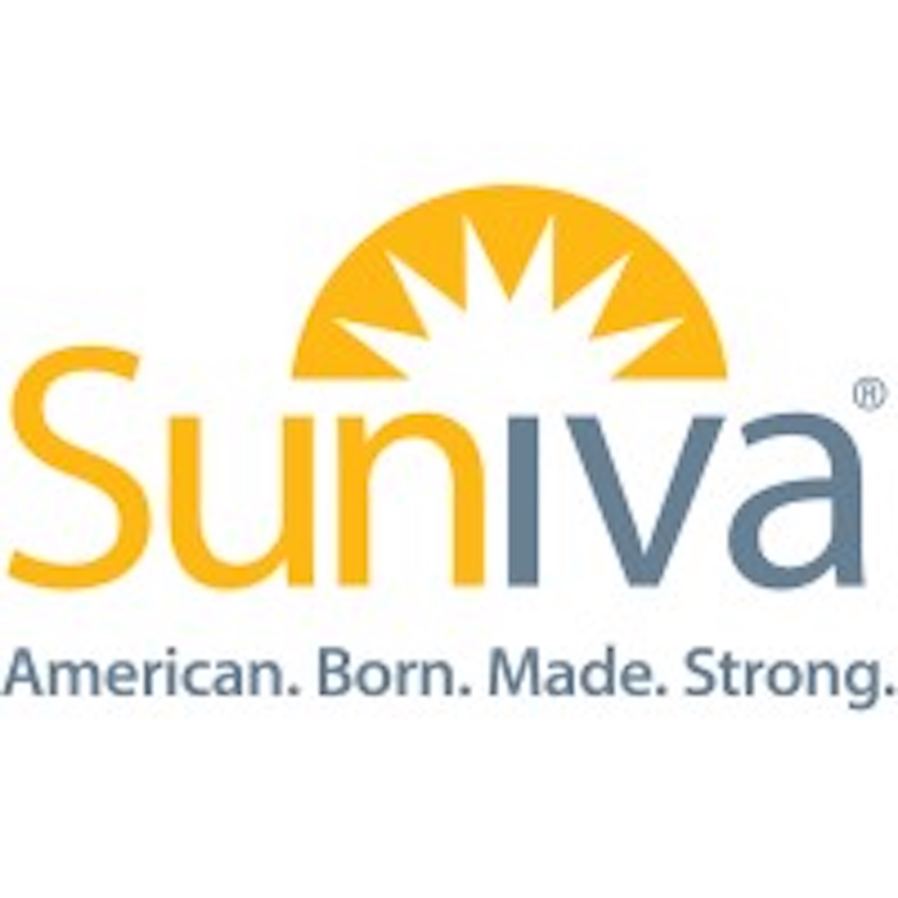 Suniva Secures $835 Million for Major Solar Cell Expansion