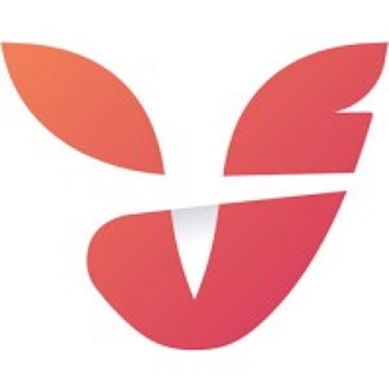Vheda Health Secures $47 Million From Agora To Scale Health Plan Outcomes And Analytics Platform